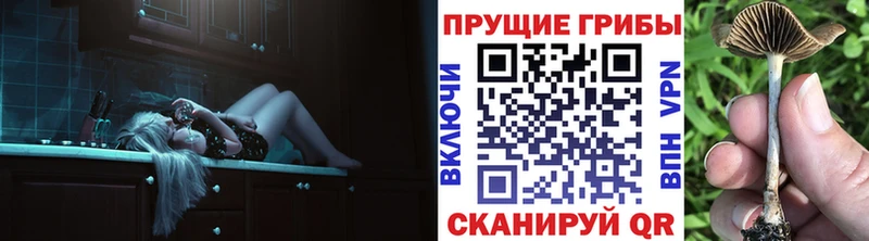 Псилоцибиновые грибы ЛСД  Луховицы 